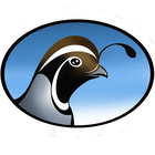 Bird School Project logo