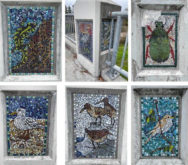 Local artist and teacher Kathleen Crocetti led a project with middle schoolers to create and install 59 mosaics on the Water Street bridge crossing the San Lorenzo river. 
Each mosaic features a species from the river's watershed.