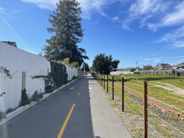 Looking east up the rail trail after crossing Dufour Street. Note the corrugated fence with new vines starting, to make a privacy barrier between the trail and the adjacent back yard.