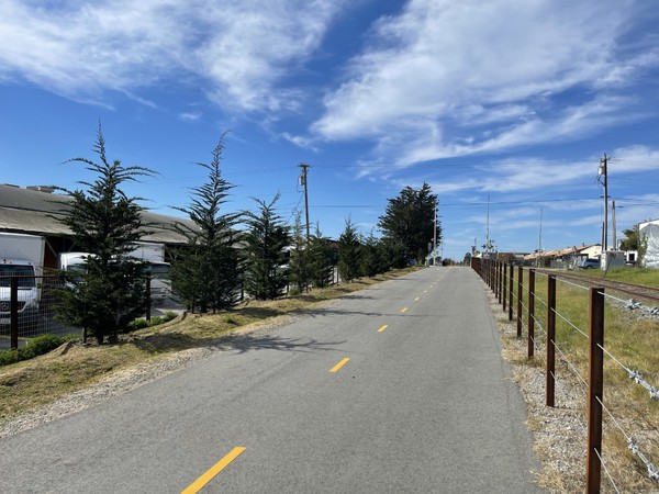 Looking east on the rail trail between Fair Avenue and Swift Street in Santa Cruz.
There are numerous new tree plantings along the rail trail.