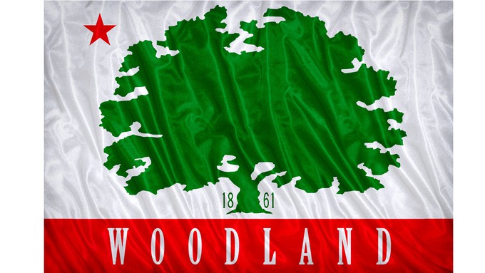 Image for City of Woodland Planning Commission