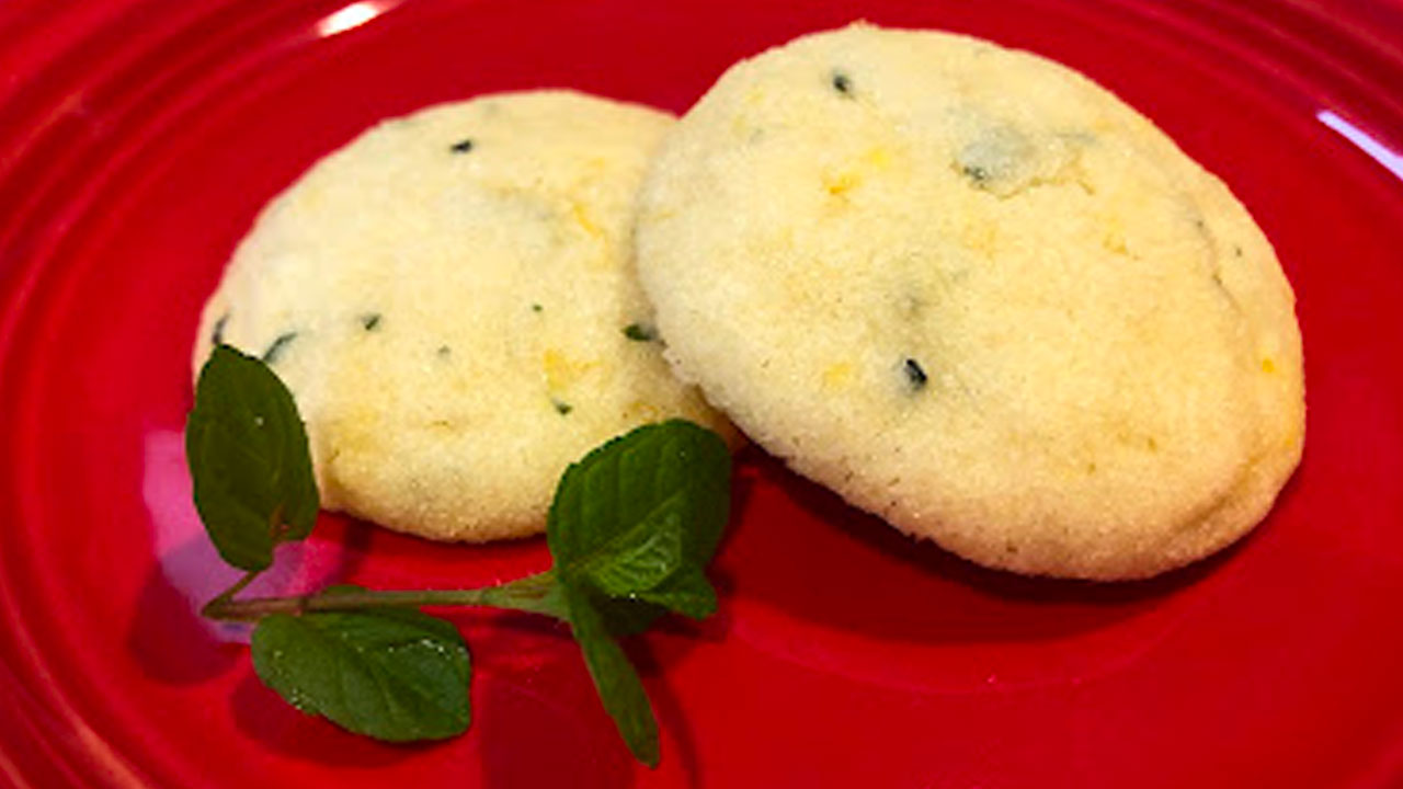 White cookies on a red plate with a sprig of green mint leaves