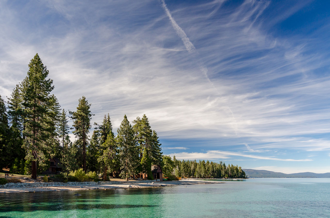 Forested shore of Lake Tahoe