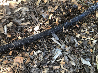 Soaker hose on mulch