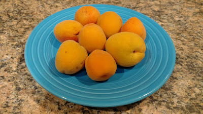 Apricots on a plate