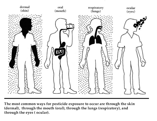 Illustration of pesticide exposure