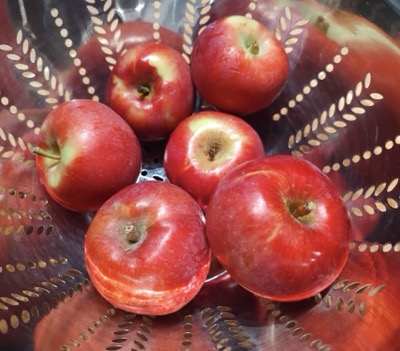 Apples in a colander