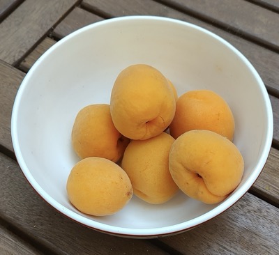 Apricots in a bowl