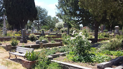 City cemetery, another view