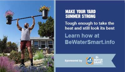 Summer Strong ad for BeWaterSmart.info