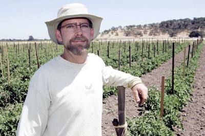 Man in white shirt and white hat standing at end of row of tomato plants