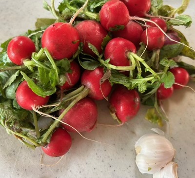 Two bunches of small round radishes and some garlic cloves
