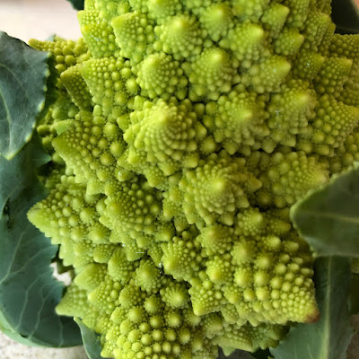 Green fractal vegetable