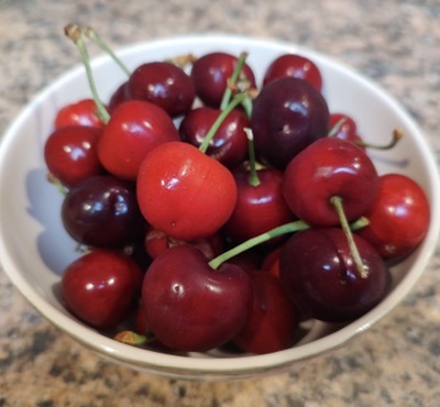 Bowl of bright red cherries
