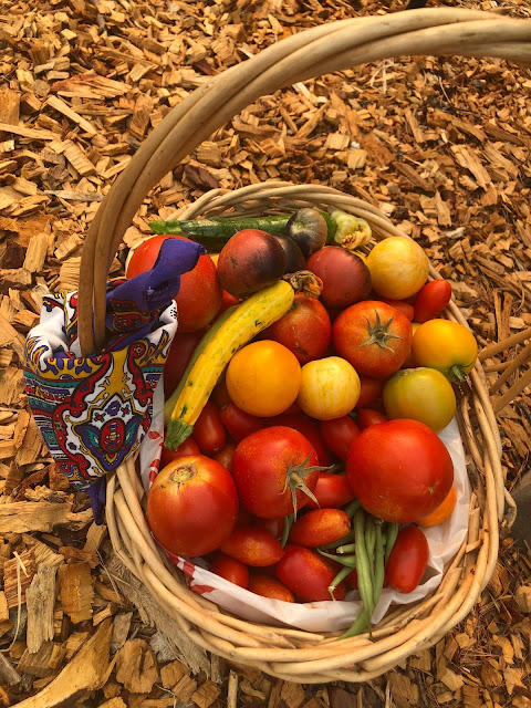 Harvest basket