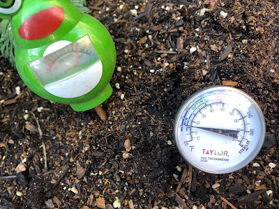 Moisture meter and temperature probe in soil