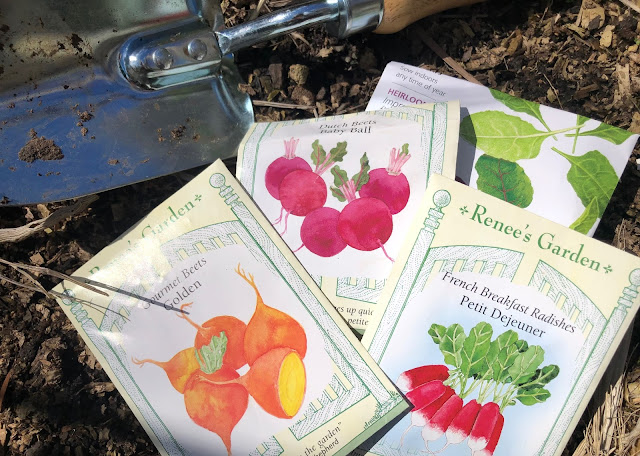 Seed packages for beets, chard and radishes