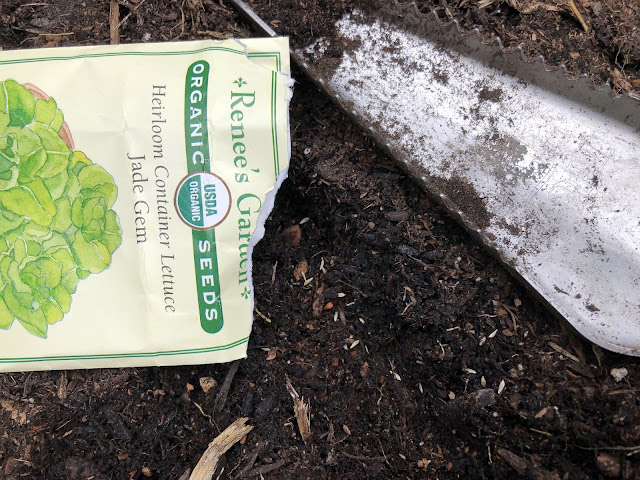 Package of lettuce seeds and trowel on soil