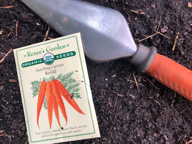 Trowel and carrot seeds in package