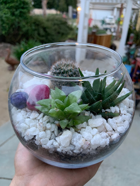 Terrarium