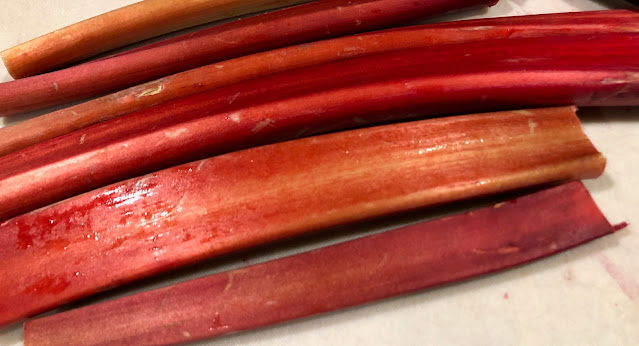 Rhubarb stalks