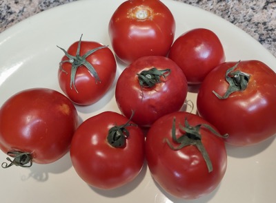 Eight tomatoes on a plate