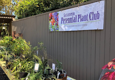 Plant club sign hanging on a fence