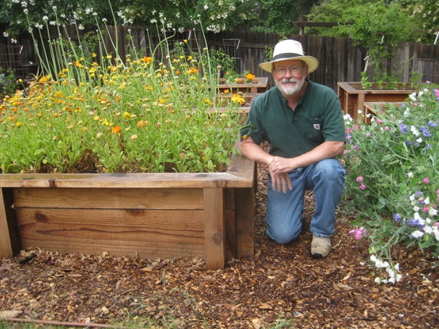 Man kneeling next to raised planting bed