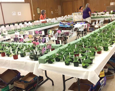Show tables with plants