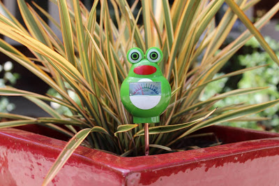 Frog-shaped moisture meter in pot