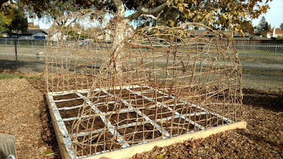 Flower bed before planting