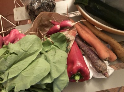 A collection of fresh vegetables including radishes with tops, a red bell pepper and orange, purple and yellow carrots