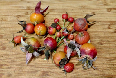 Rose hips