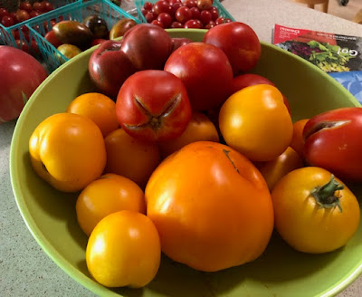 Red and yellow tomatoes in a light green bowl