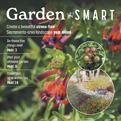 Garden Smart magazine cover