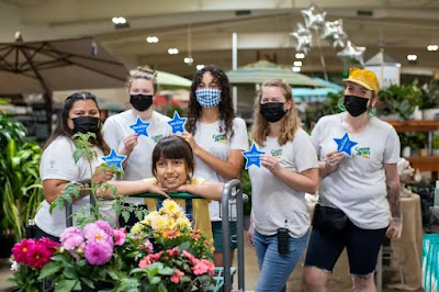 Several  people with paper stars