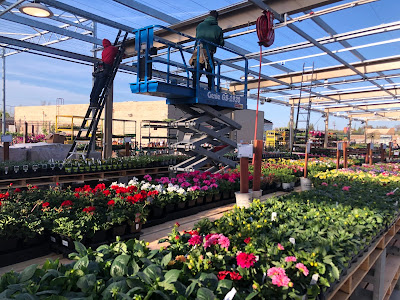 Men working on root structure at nursery