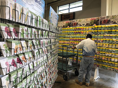 Seed racks in store