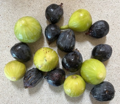 green-and-black-figs.jpg