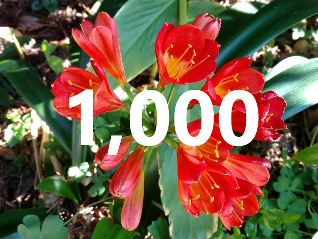 Number 1,000 on photo of red flowers