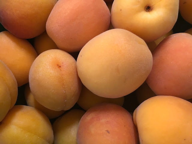 Ripe apricots