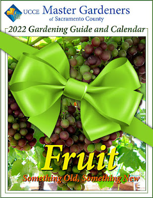 Calendar with green bow