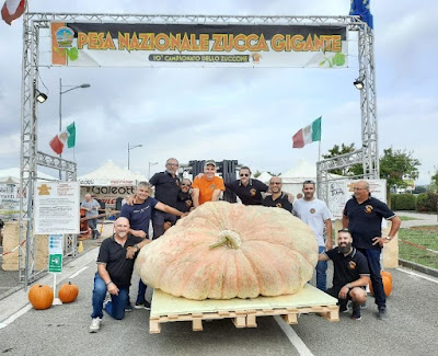 Italian pumpkin winner