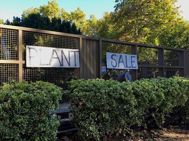 Plant sale sign on fence