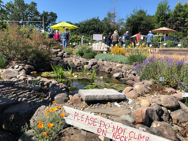 Pond view of demonstration garden