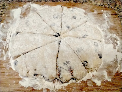 Scone dough patted out on floured board