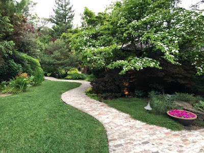Pathway through green garden
