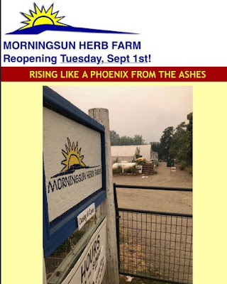 Morningsun Herb Farm website
