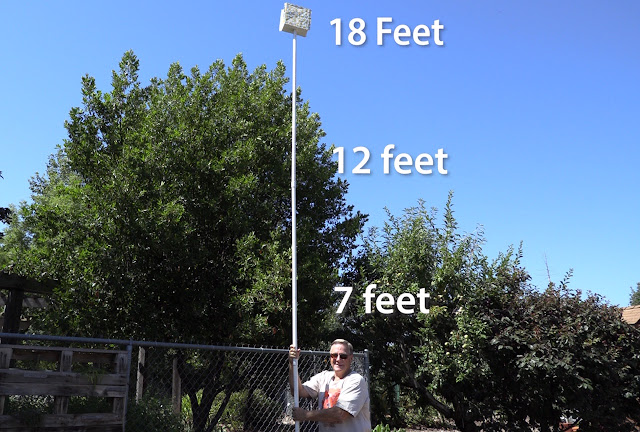 Ed Laivo with pole to show how tall trees get