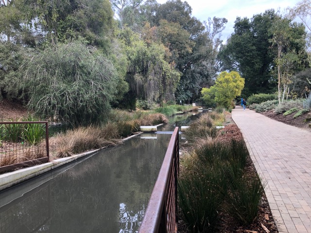 Creek and path in UC Davis Arboretum